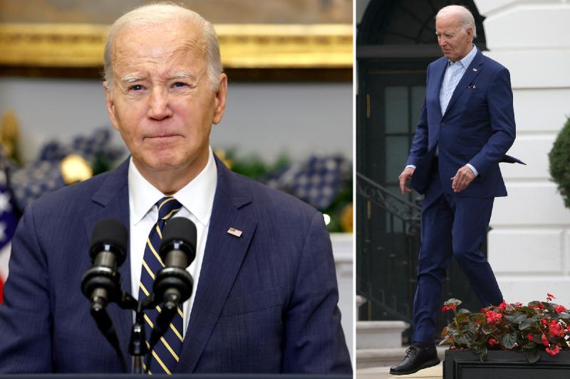 Biden showing signs of decline as pols, aides detail 81-year-old's slipping cognitive fitness