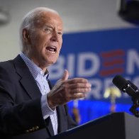 Democrats could be faced with losing both chambers of Congress if Biden runs