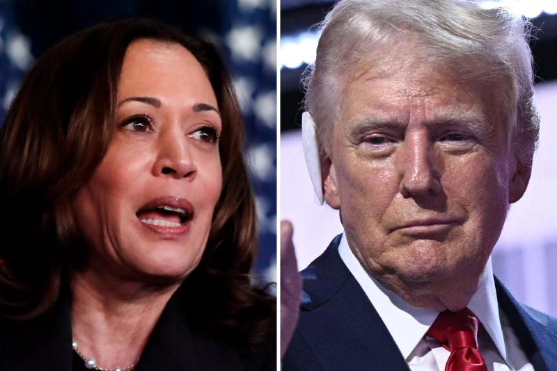 Kamala Harris' Chances vs. Donald Trump, According to Polls - Newsweek