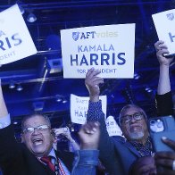 Democrats question Kamala Harris's appeal in key battleground states