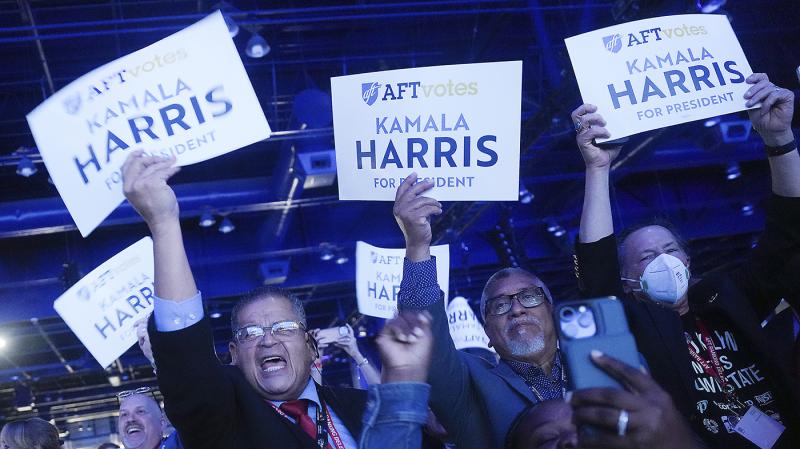 Democrats question Kamala Harris's appeal in key battleground states