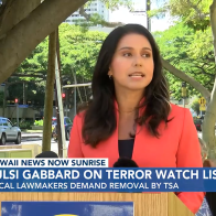 Lawmakers incensed after former congresswoman placed on terror watch list