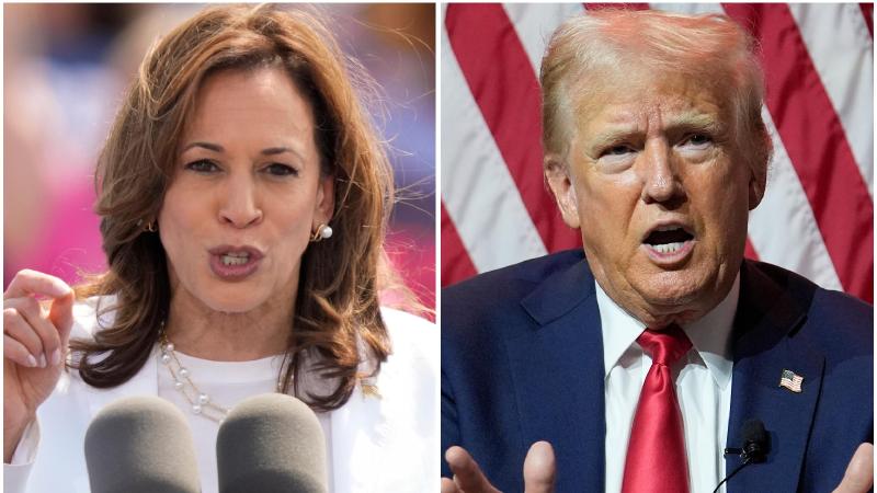 Americans give Harris an advantage over Trump on honesty and discipline, an AP-NORC poll finds 