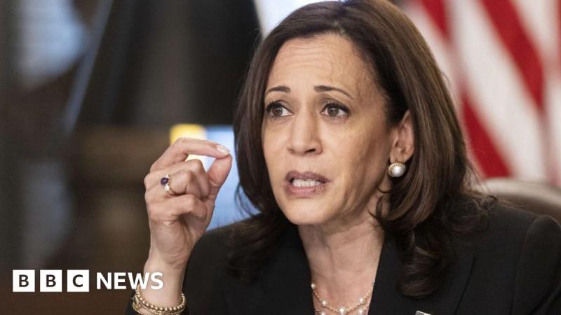 Is Kamala Harris a 'failed border czar' as Trump says?