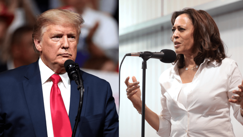 Trump's late night rant signals plan to evade debate with Harris: columnist - Alternet.org