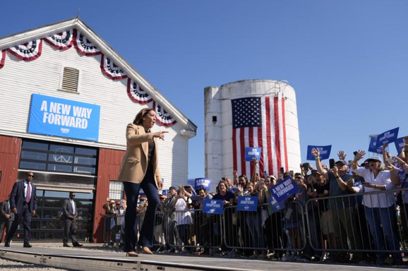 Harris’ momentum has stalled — but not reversed. Here’s 5 takeaways from the latest polls.