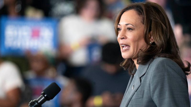 LARRY KUDLOW: This is what Kamala Harris' 'so-called economic plan' actually looks like