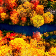 Living in China - See Jilin's kaleidoscopic autumn beauty in pictures