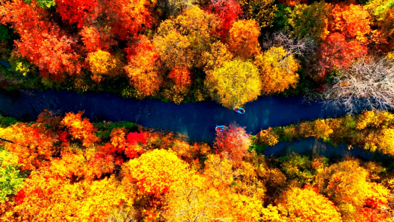 Living in China - See Jilin's kaleidoscopic autumn beauty in pictures