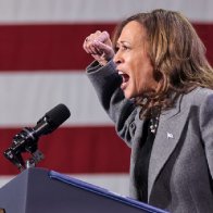 Kamala Harris appears to agree that Israel commits genocide in Gaza - The Jerusalem Post