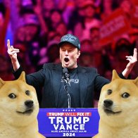 What's DOGE? Musk's new political appointment under Trump is a crypto joke