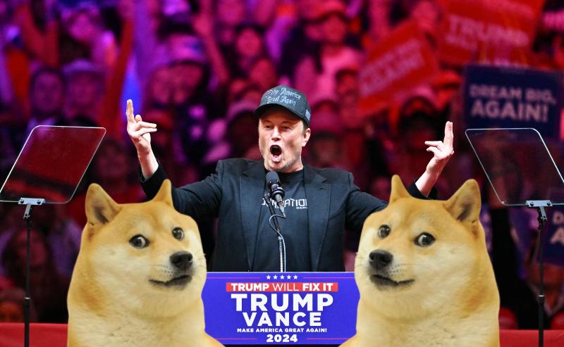 What's DOGE? Musk's new political appointment under Trump is a crypto joke