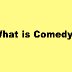 What is Comedy in Literature? Definition, Examples of Literary Comedy