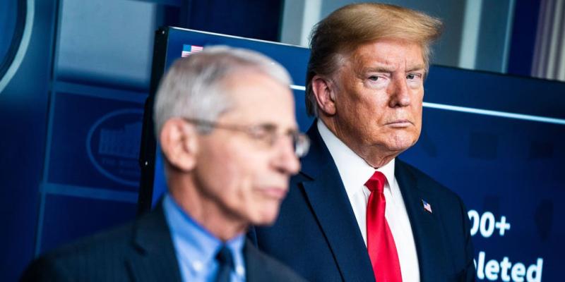 Trump revokes security detail for Fauci | Fox News