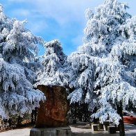 Rime blankets Guidong mountains in breathtaking winter scene