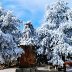 Rime blankets Guidong mountains in breathtaking winter scene