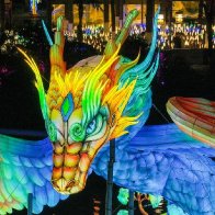 Lighting ceremony of 39th Qinhuai Lantern Festival held in Nanjing