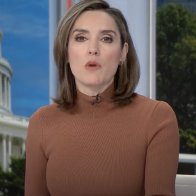 Margaret Brennan Blasted for Saying Nazis Used Free Speech