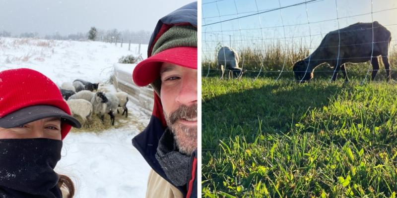 Farmers hit by a federal funding freeze scramble to respond ahead of spring thaw