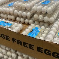 Border Patrol sees uptick in attempted egg smuggling 