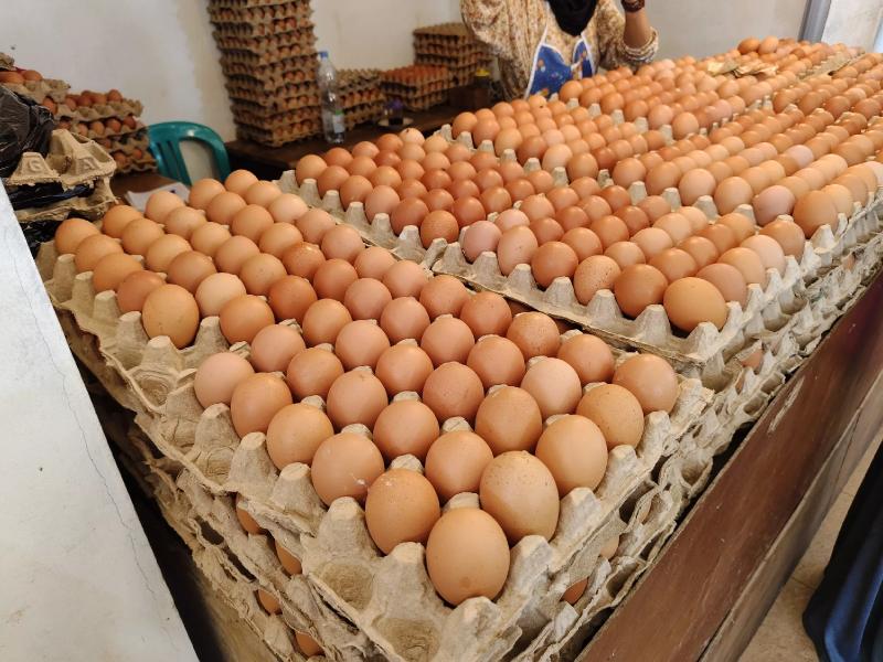 Egg Prices Plummet