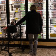 Wholesale egg prices have 'plunged.' Retail prices may follow