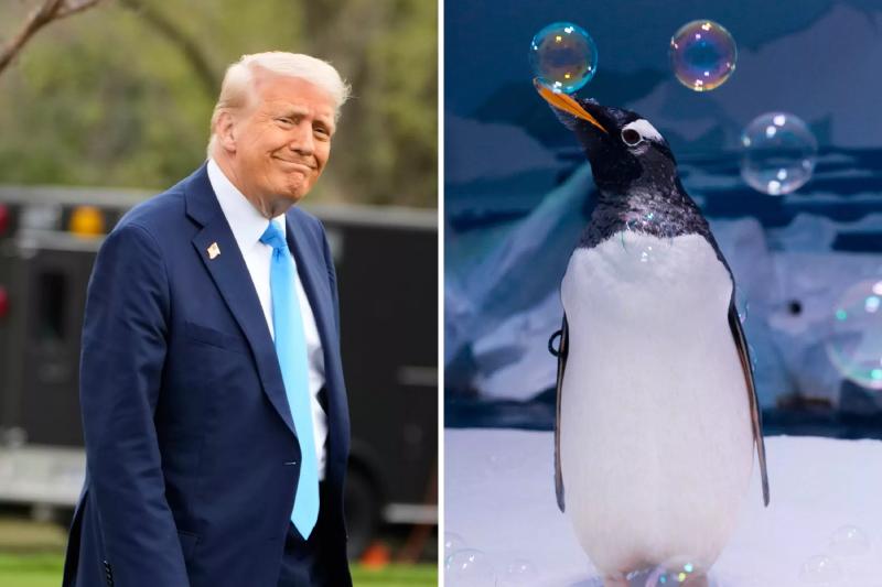 Donald Trump Puts Tariffs on Islands Inhabited Only by Penguins - Newsweek