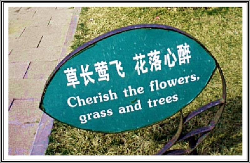 Amusing English Signs in China