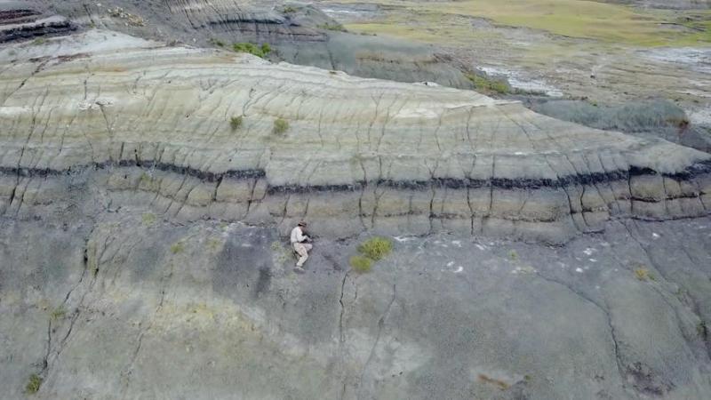 BREAKING NEWS: Fossilized snapshot of mass death found on North Dakota ranch
