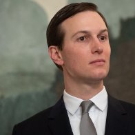 The Kushner Plan; Fatal Flaws