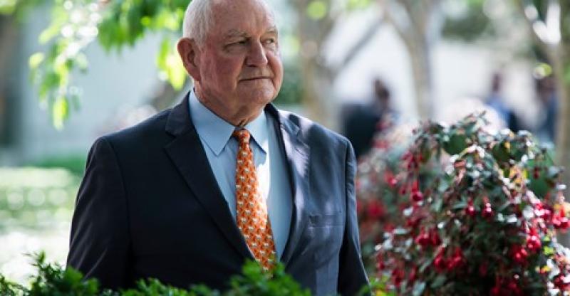 Farmers Reel After Sonny Perdue Mocks Them As 'Whiners' Amid Trade War Bankruptcies