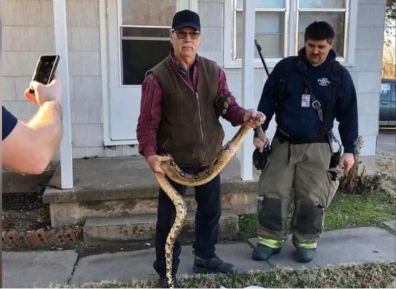 Kansas man finds 6 foot boa constrictor in his couch.