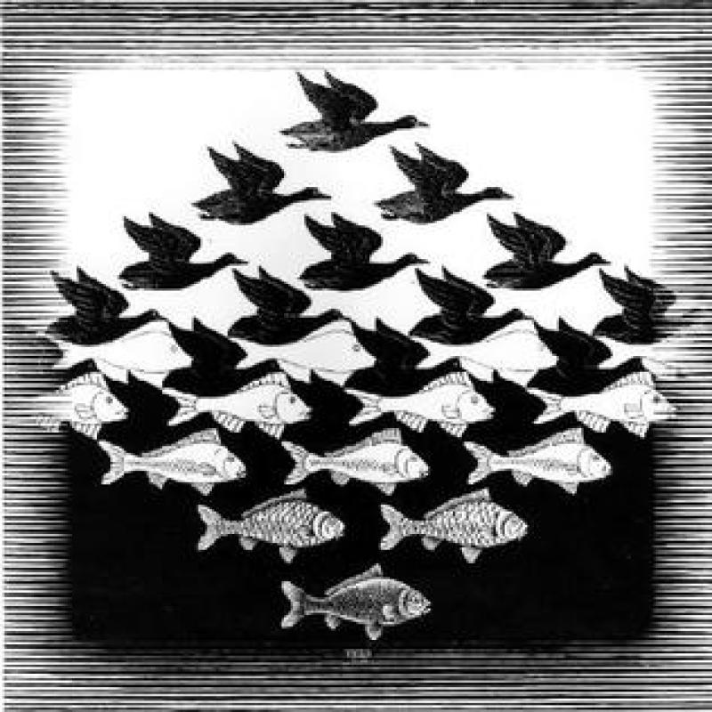 The Mysterious Illusions of M.C.Escher
