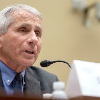 Fauci to warn of 'needless suffering and death' if country reopens too soon