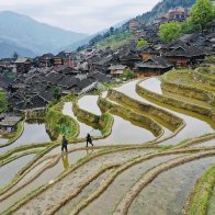 Terraced fields adorn Guizhou