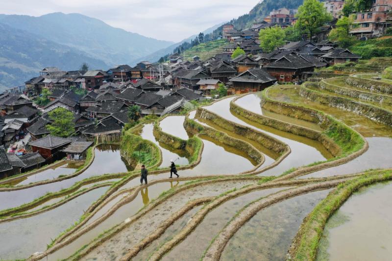 Terraced fields adorn Guizhou