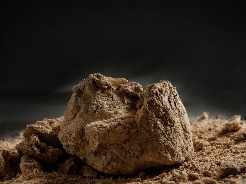 fossilized poop is called