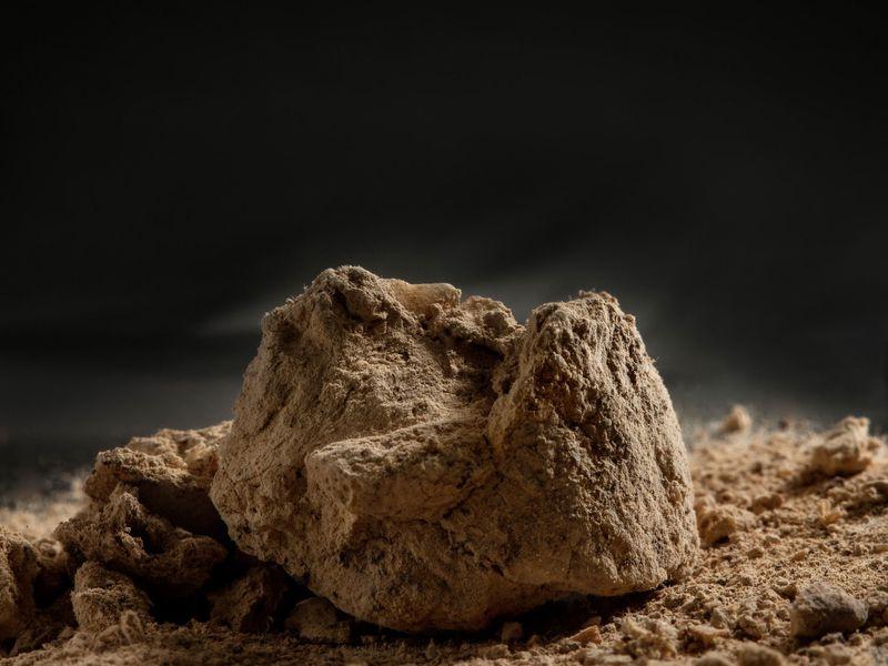 14000 Year Old Fossilized Poop Among Oldest Traces Of Humans In North