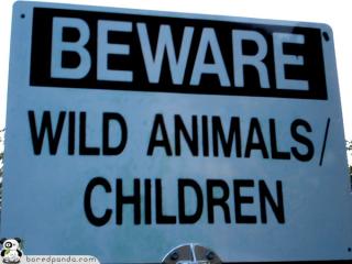 beware wild animals.jpg