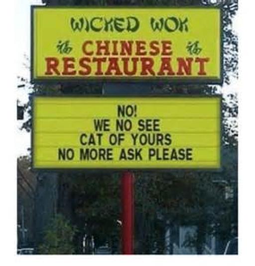 cat wok.jpg