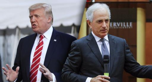 trumpcorker.jpg