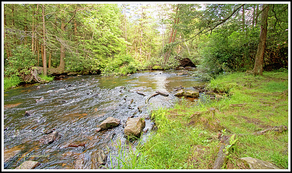 mudrunpennsylvaniapoconomountainstreamagurmankin.jpg