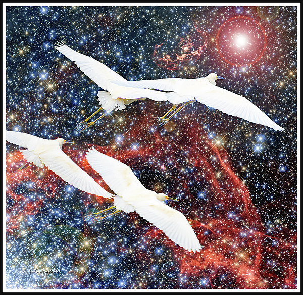 egretsflyinsupernovaremnantskyagurmankin.jpg