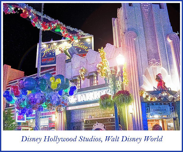 disneyhollywoodstudiosatnightagurmankin.jpg