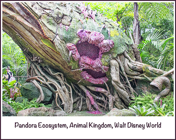 1pandoraecosystemanimalkingdomwaltdisneyworldagurmankin.jpg