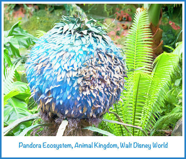 3pandoraecosystemanimalkingdomwaltdisneyworldagurmankin.jpg