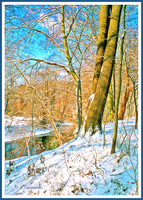 1pennsylvaniastreaminwinteragurmankin.jpg