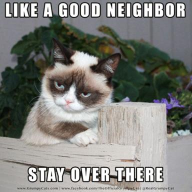 grumpycatmeme01.jpg