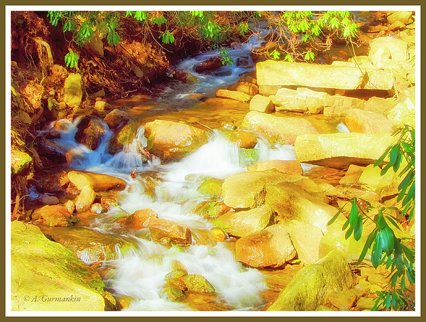 mountainstreaminlateafternoonlightagurmankin.jpg