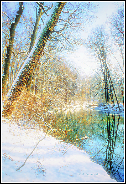 2snowscenepennsylvaniawoodlandstreamagurmankin1.jpg